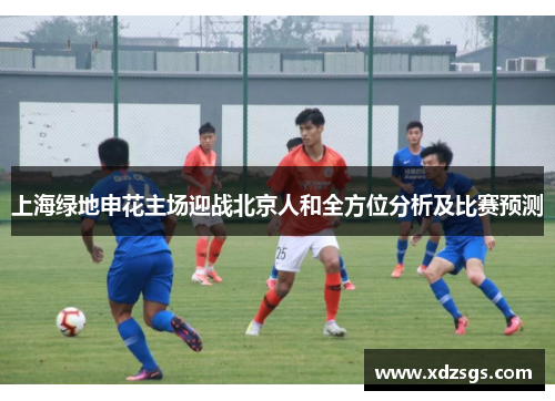 上海绿地申花主场迎战北京人和全方位分析及比赛预测