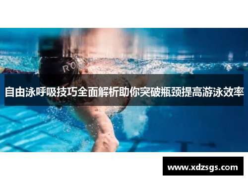 自由泳呼吸技巧全面解析助你突破瓶颈提高游泳效率