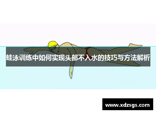 蛙泳训练中如何实现头部不入水的技巧与方法解析