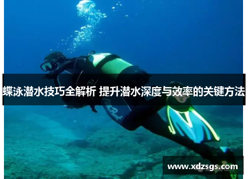 蝶泳潜水技巧全解析 提升潜水深度与效率的关键方法