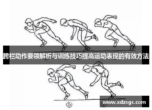 跨栏动作要领解析与训练技巧提高运动表现的有效方法