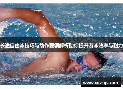 长途自由泳技巧与动作要领解析助你提升游泳效率与耐力